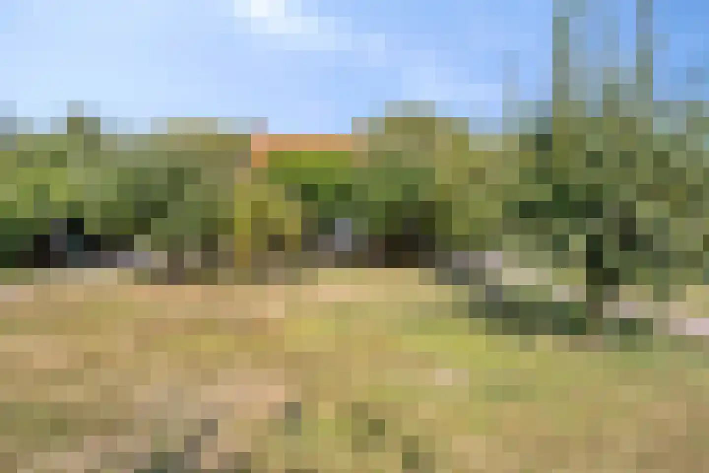 Provincialeweg 11 Sint-Maartensdijk thumbnail 35