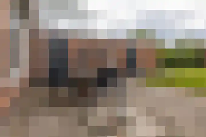 Provincialeweg 112 Doezum thumbnail 38