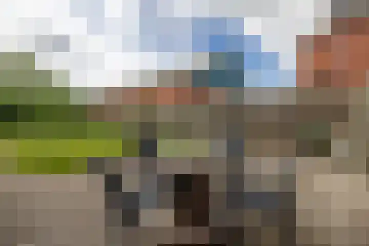 Provincialeweg 112 Doezum thumbnail 39