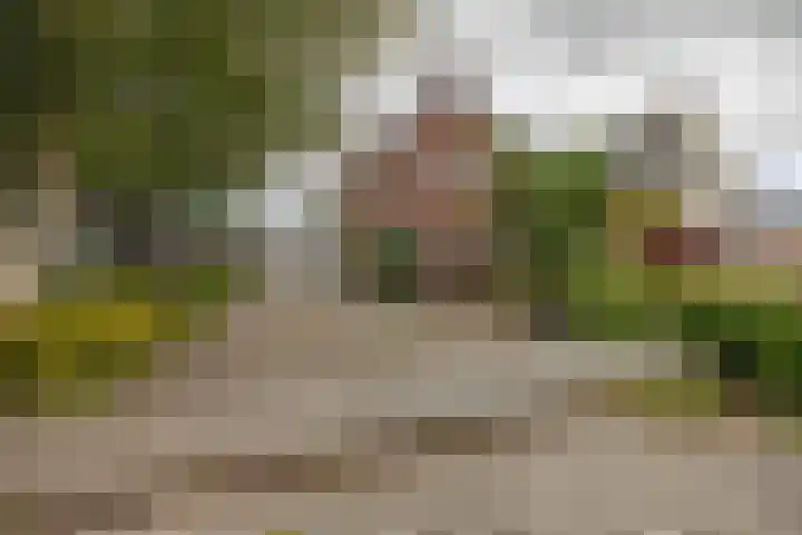 Provincialeweg 112 Doezum thumbnail 4