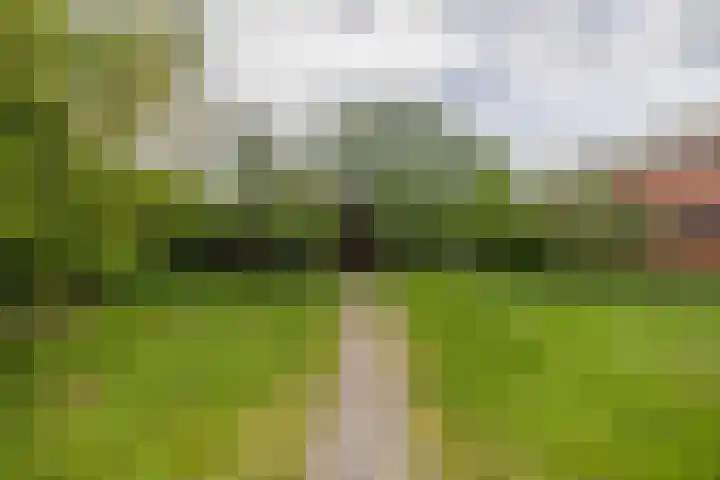 Provincialeweg 112 Doezum thumbnail 41