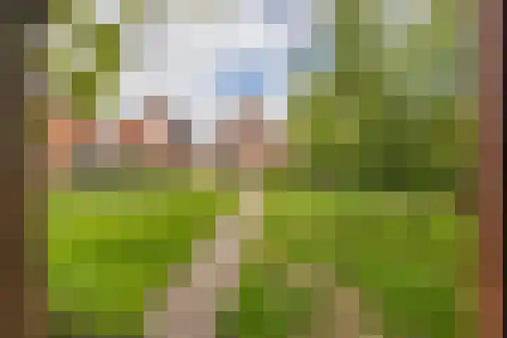 Provincialeweg 112 Doezum thumbnail 44