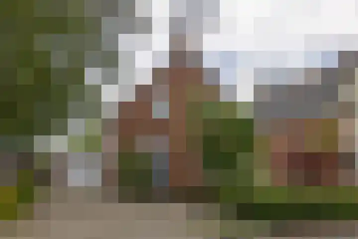 Provincialeweg 112 Doezum thumbnail 45