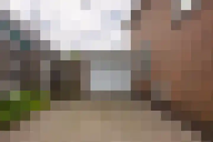 Provincialeweg 112 Doezum thumbnail 46