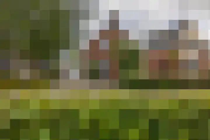 Provincialeweg 112 Doezum thumbnail 48