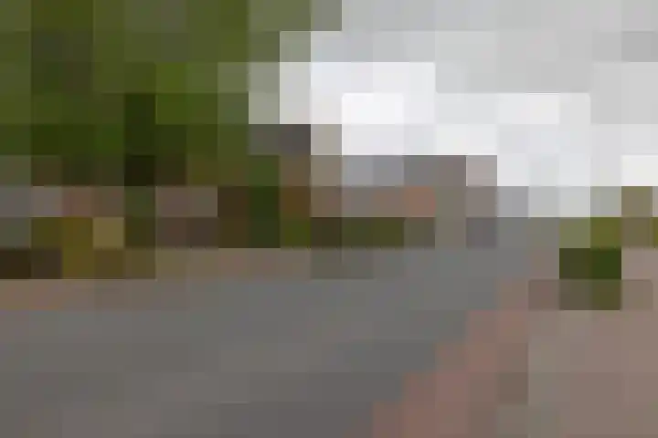 Provincialeweg 112 Doezum thumbnail 49