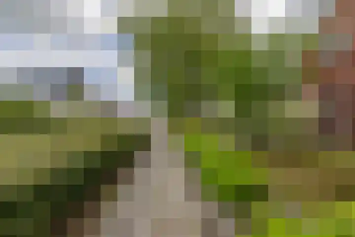 Provincialeweg 112 Doezum thumbnail 50