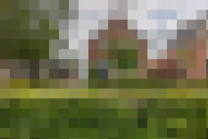 Provincialeweg 112 Doezum thumbnail 6