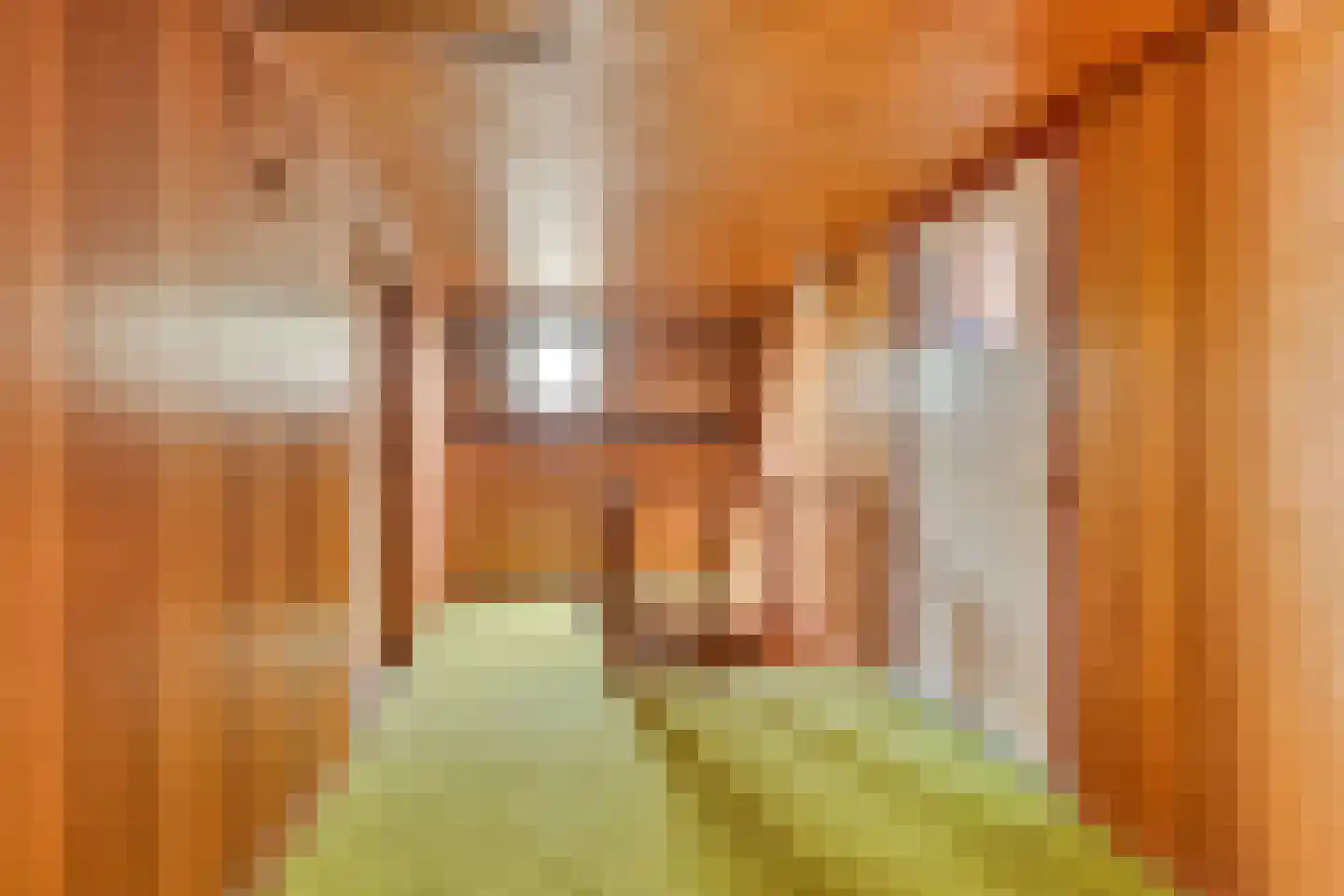 Provincialeweg 114 Velddriel thumbnail 16