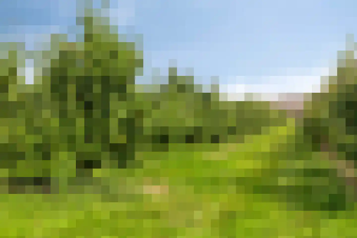 Provincialeweg 114 Velddriel thumbnail 28