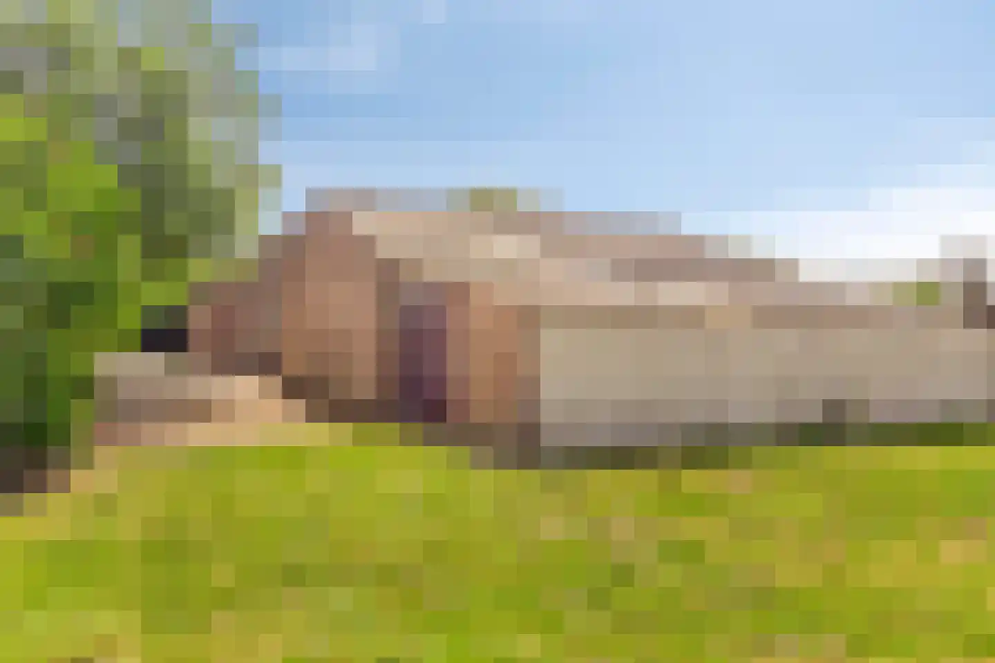 Provincialeweg 114 Velddriel thumbnail 31