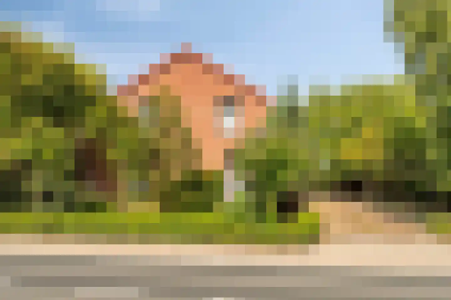 Provincialeweg 114 Velddriel thumbnail 34