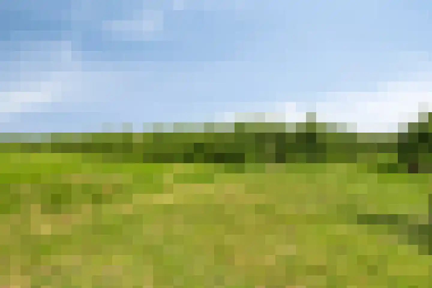 Provincialeweg 114 Velddriel thumbnail 4