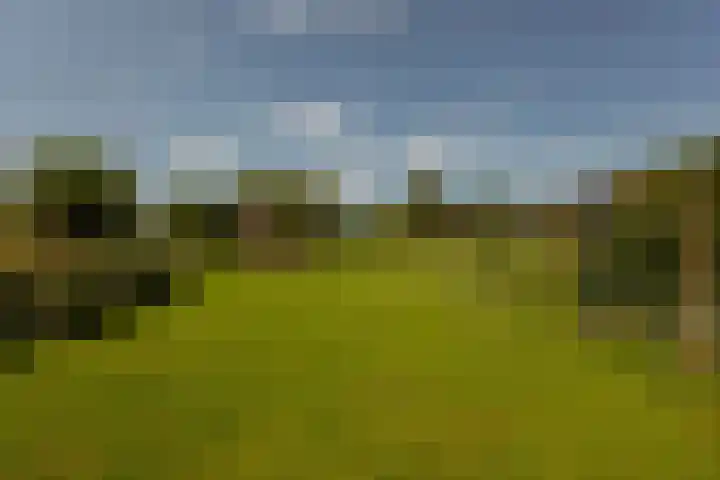 Provincialeweg 12 Amsterdam thumbnail 29