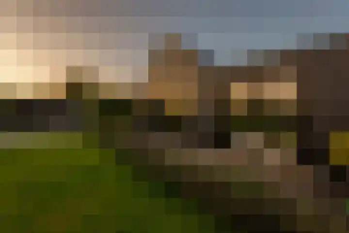 Provincialeweg 12 Amsterdam thumbnail 39
