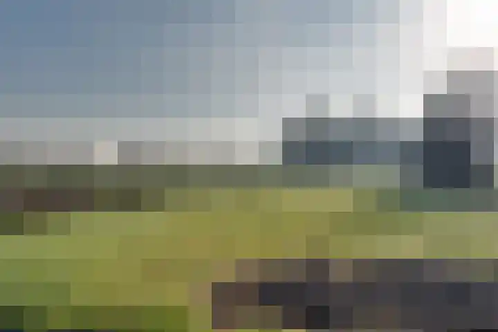 Provincialeweg 122 Doezum thumbnail 63