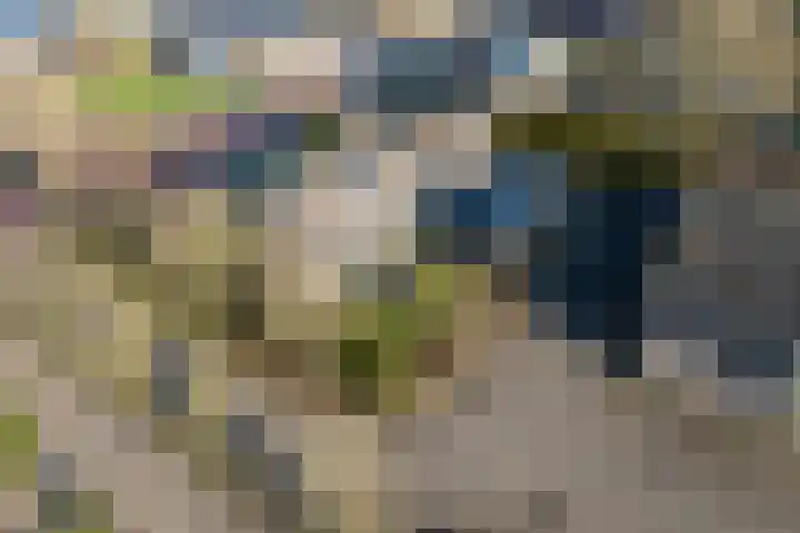Provincialeweg 122 Doezum thumbnail 73