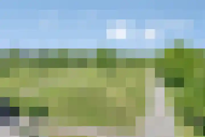 Provincialeweg 133 A Doezum thumbnail 4