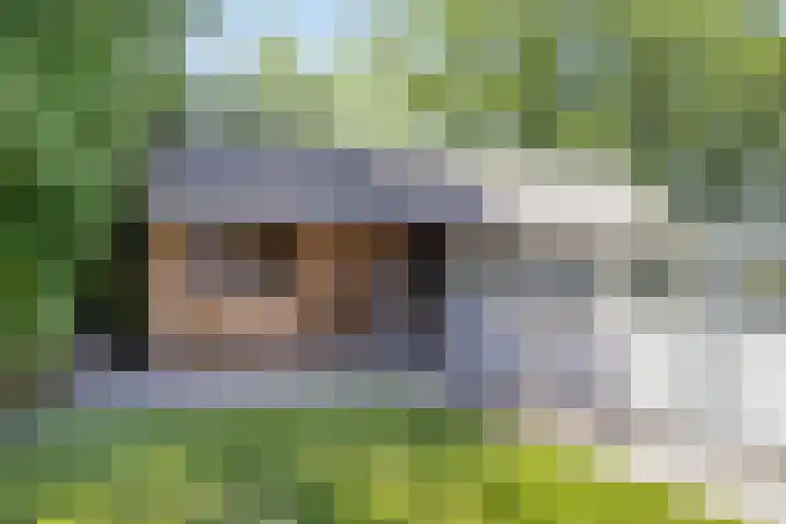 Provincialeweg 133 A Doezum thumbnail 42
