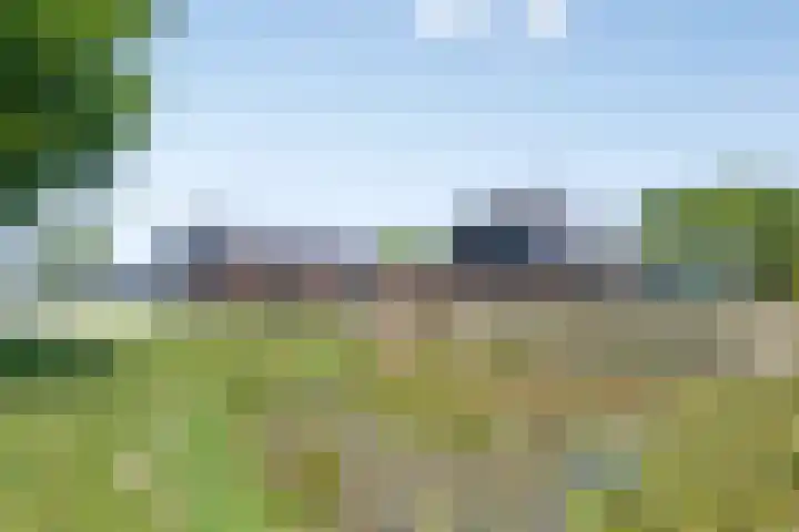 Provincialeweg 133 A Doezum thumbnail 44