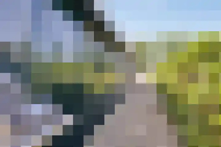 Provincialeweg 133 A Doezum thumbnail 47