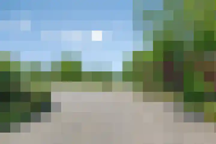 Provincialeweg 133 A Doezum thumbnail 49