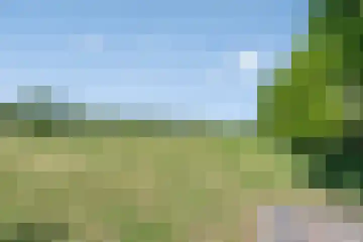 Provincialeweg 133 A Doezum thumbnail 51