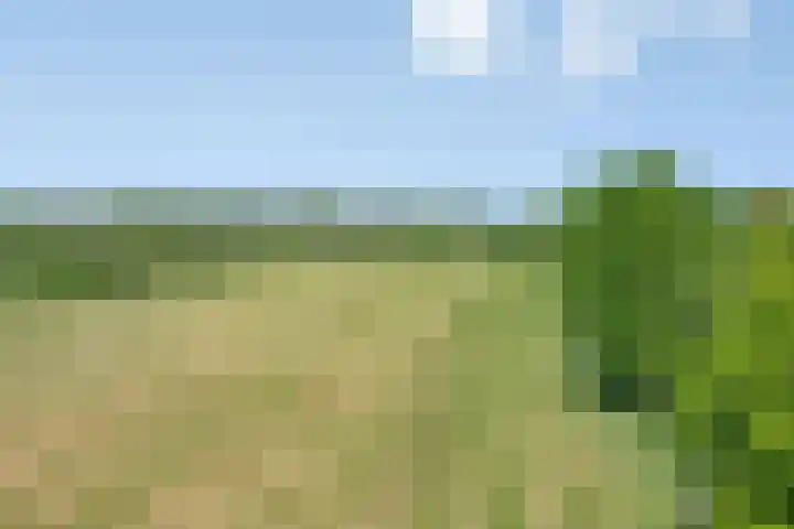 Provincialeweg 133 A Doezum thumbnail 52