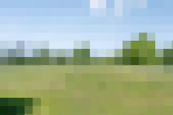 Provincialeweg 133 A Doezum thumbnail 54