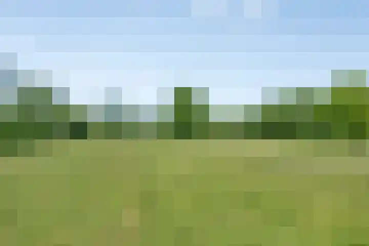 Provincialeweg 133 A Doezum thumbnail 55
