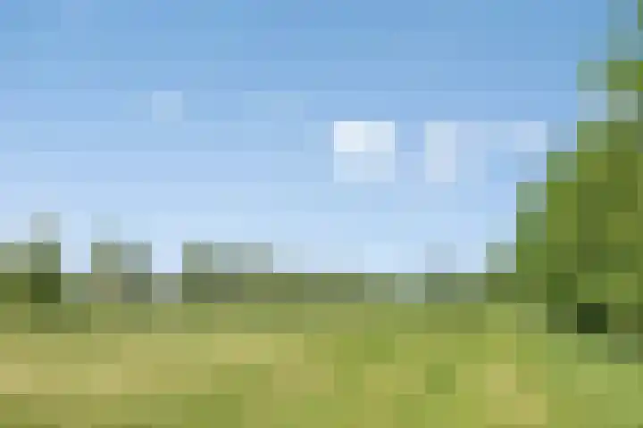 Provincialeweg 133 A Doezum thumbnail 56