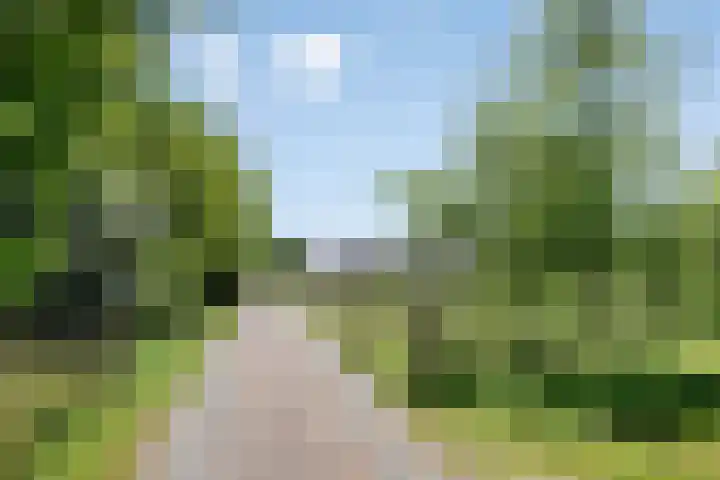 Provincialeweg 133 A Doezum thumbnail 57