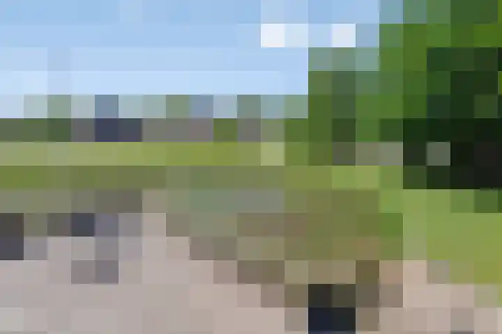 Provincialeweg 133 A Doezum thumbnail 58