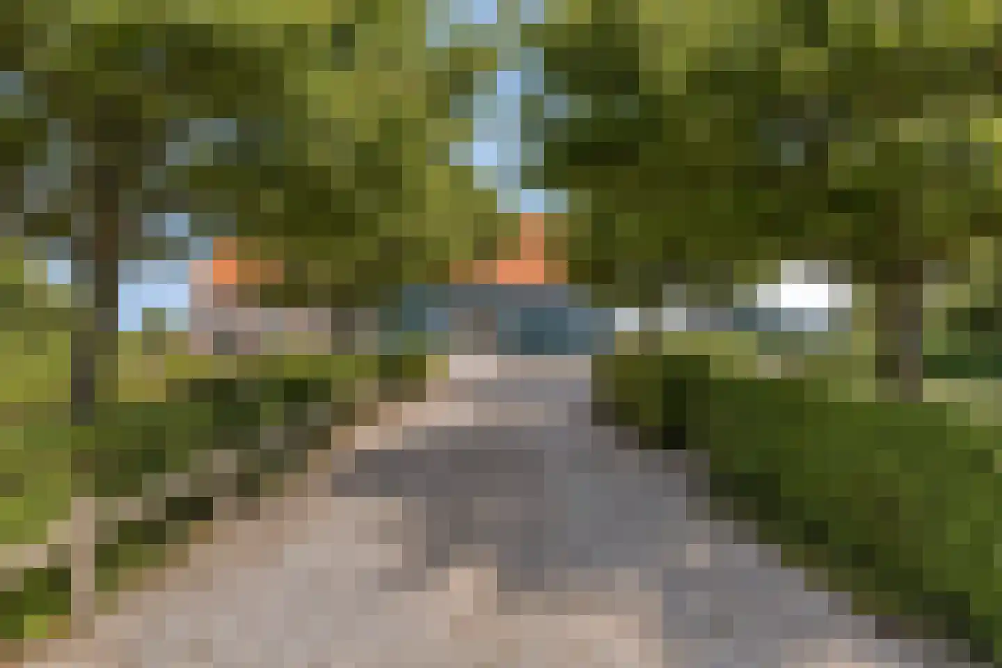 Provincialeweg 14 Kerkwerve thumbnail 19