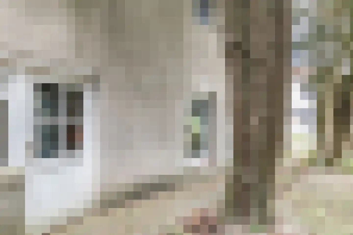 Provincialeweg 14 Reijmerstok thumbnail 23