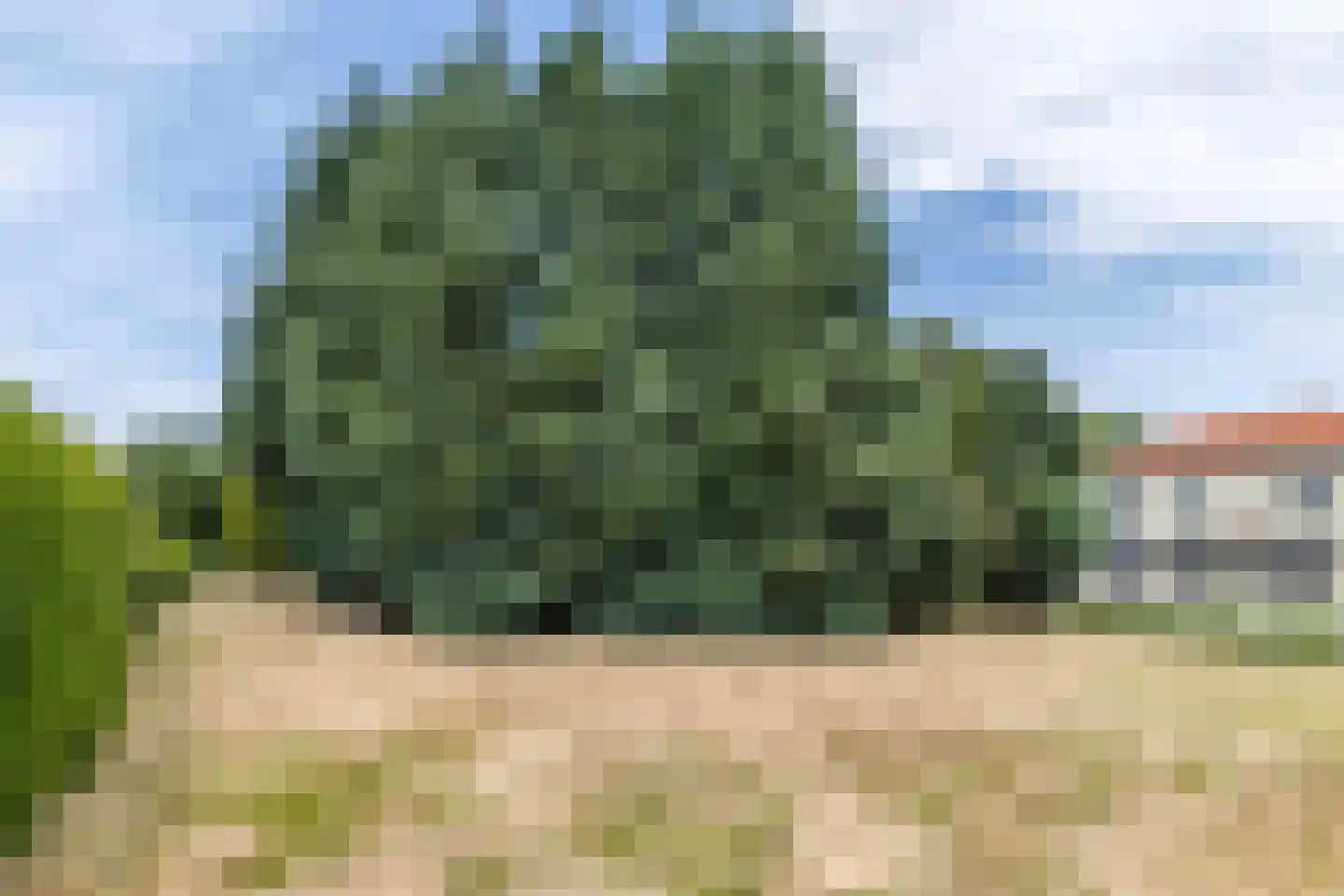 Provincialeweg 14 Reijmerstok thumbnail 26