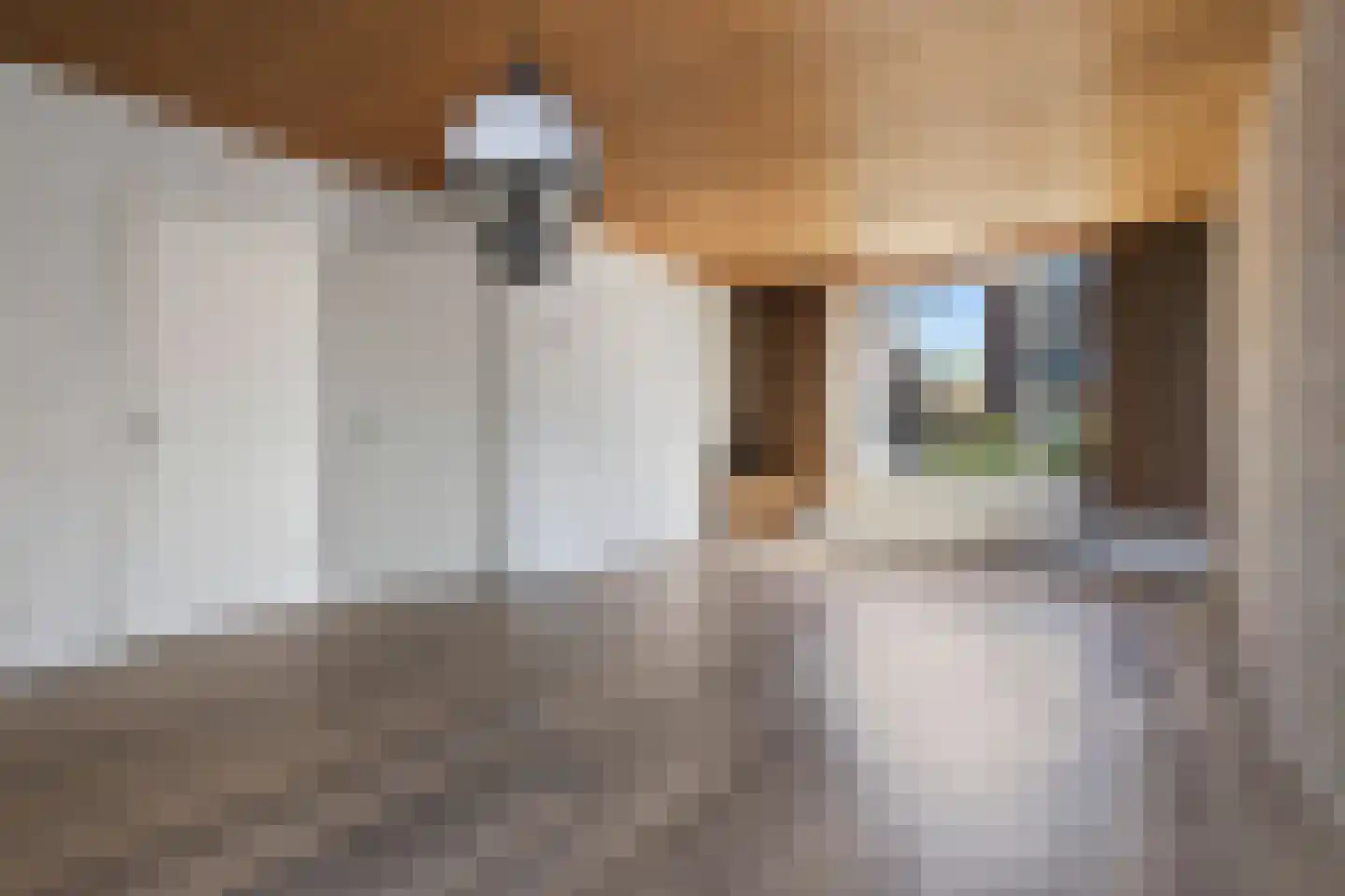 Provincialeweg 15 A Veldhoven thumbnail 8