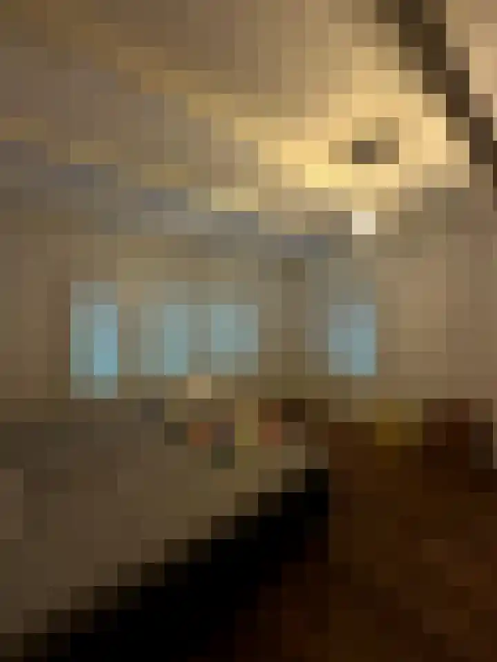 Provincialeweg 15 Amsterdam thumbnail 11