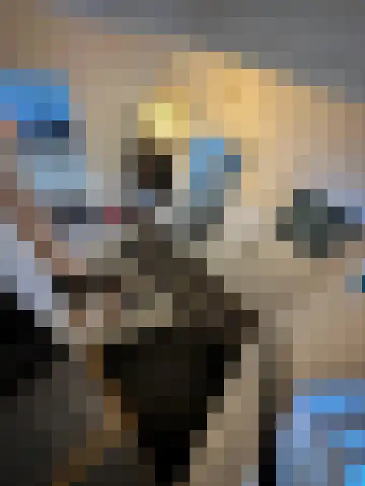 Provincialeweg 15 Amsterdam thumbnail 22