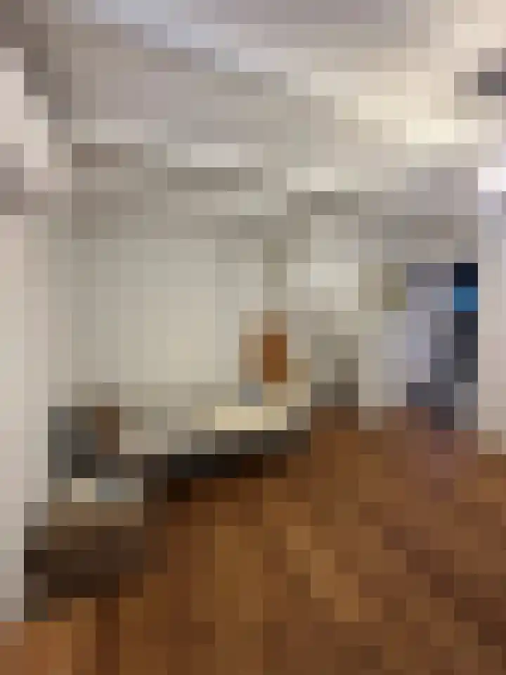 Provincialeweg 15 Amsterdam thumbnail 23