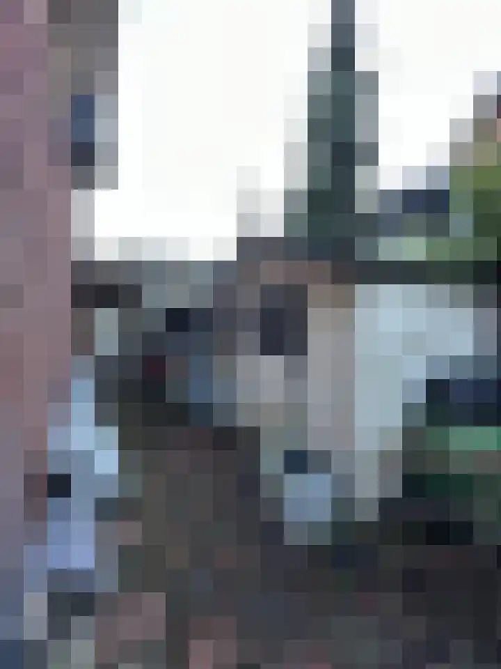 Provincialeweg 15 Amsterdam thumbnail 28