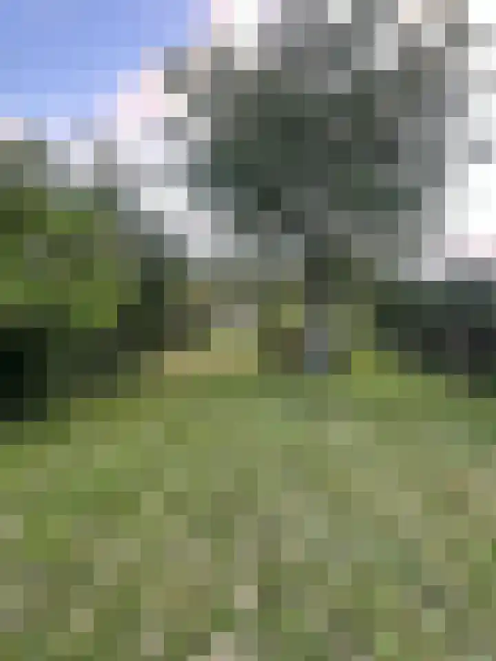 Provincialeweg 15 Amsterdam thumbnail 30