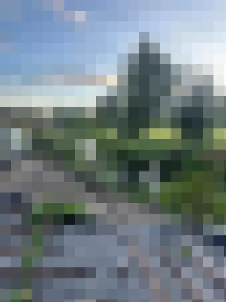 Provincialeweg 15 Amsterdam thumbnail 33