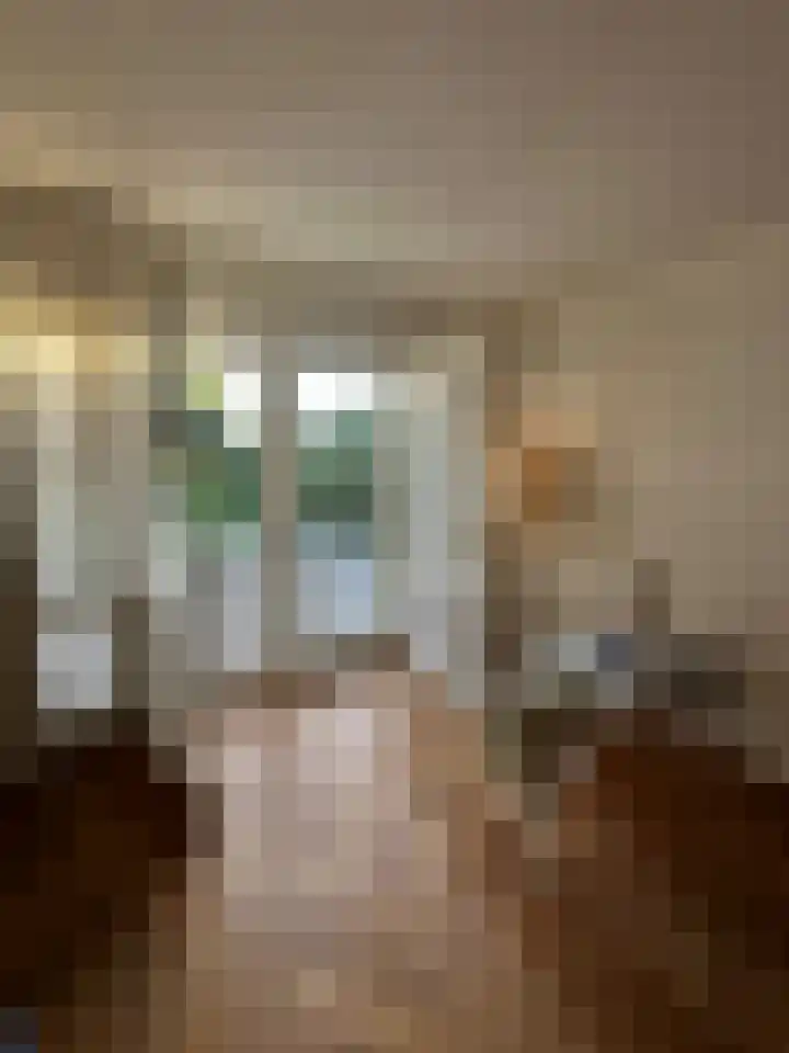 Provincialeweg 15 Amsterdam thumbnail 4