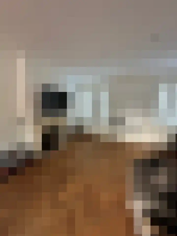Provincialeweg 15 Amsterdam thumbnail 5
