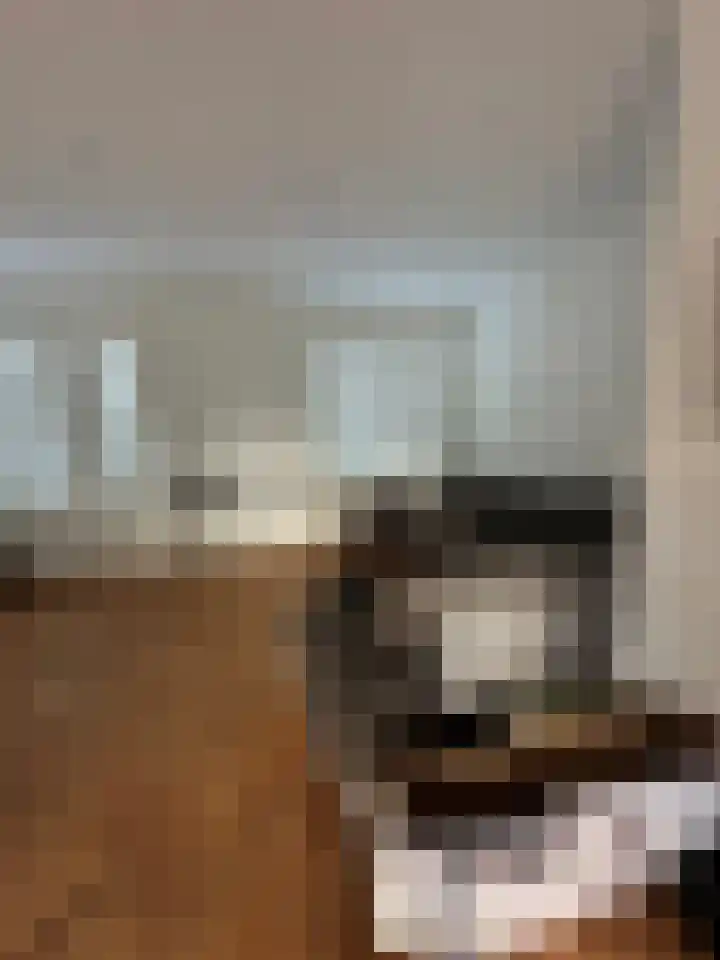 Provincialeweg 15 Amsterdam thumbnail 6