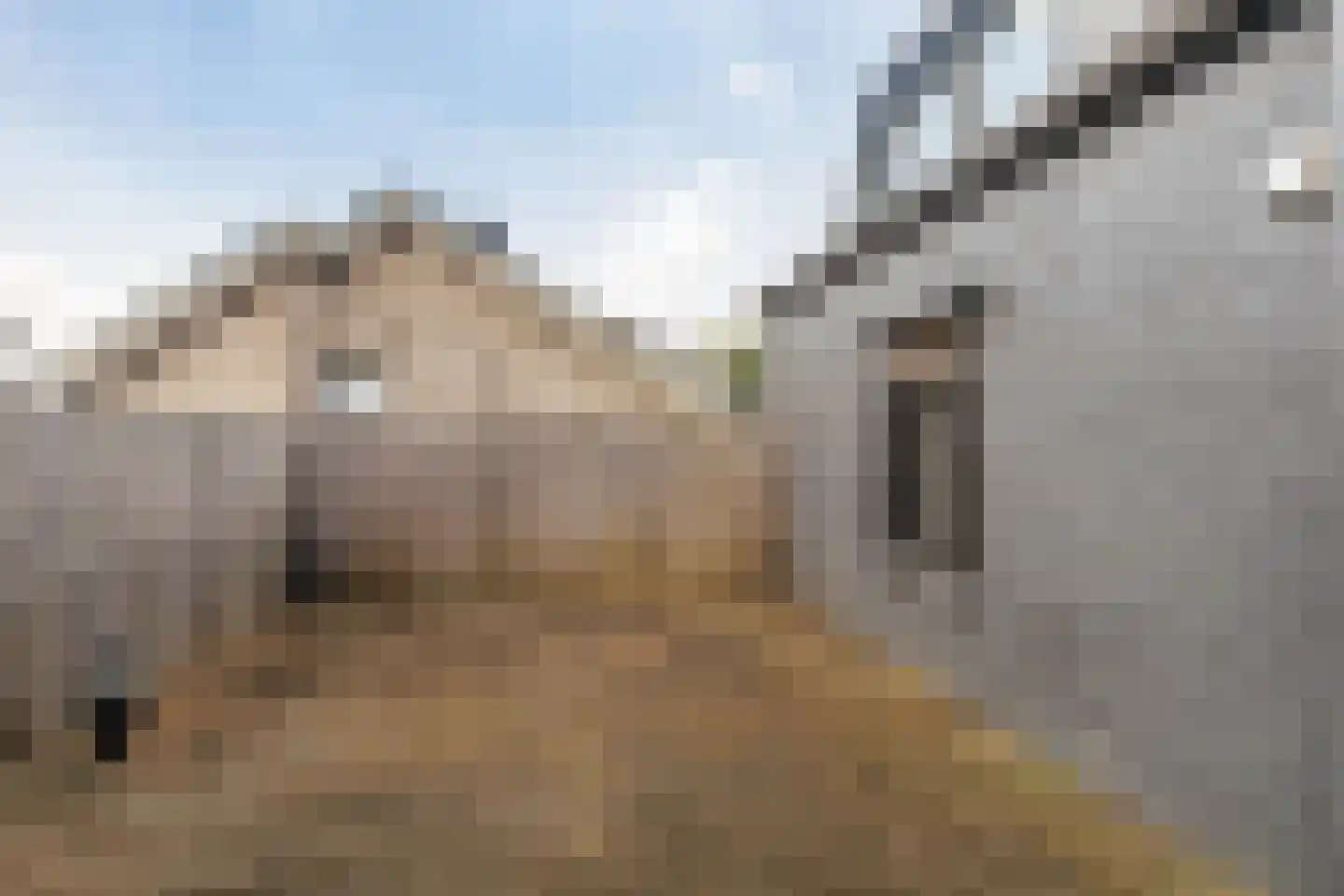 Provincialeweg 15 Limbricht thumbnail 18