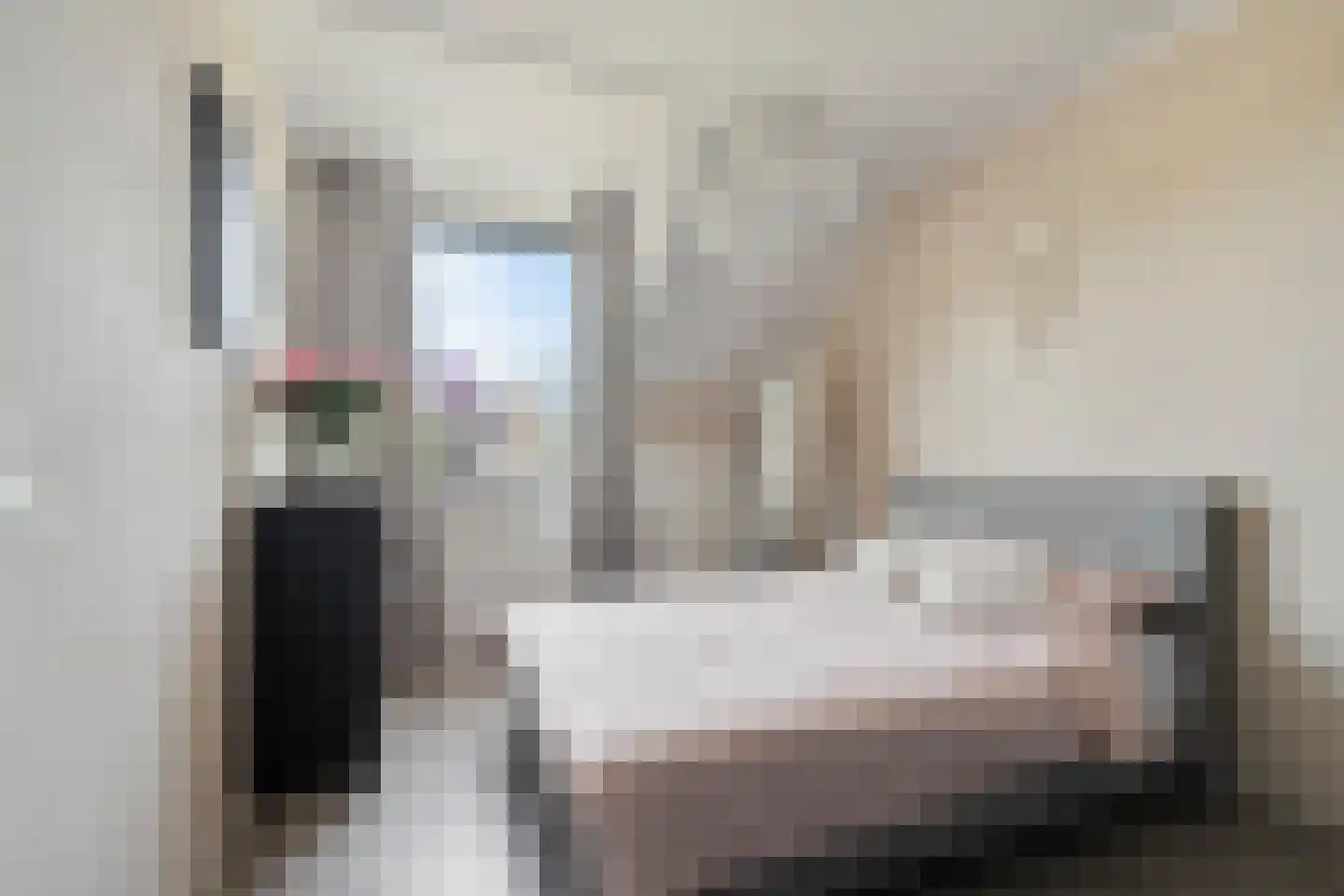 Provincialeweg 153 B Oosteind thumbnail 18