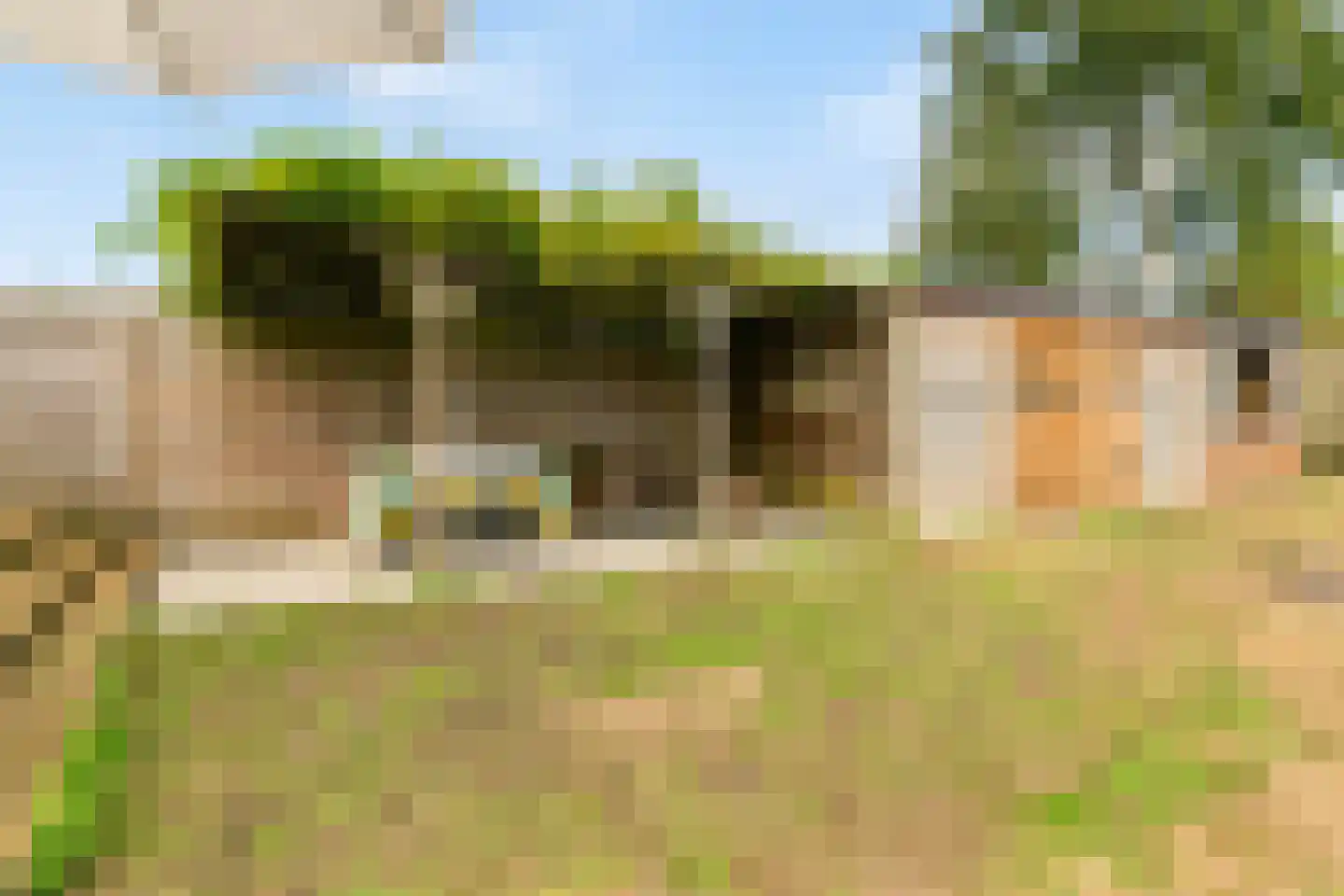 Provincialeweg 16 Vogelwaarde thumbnail 29