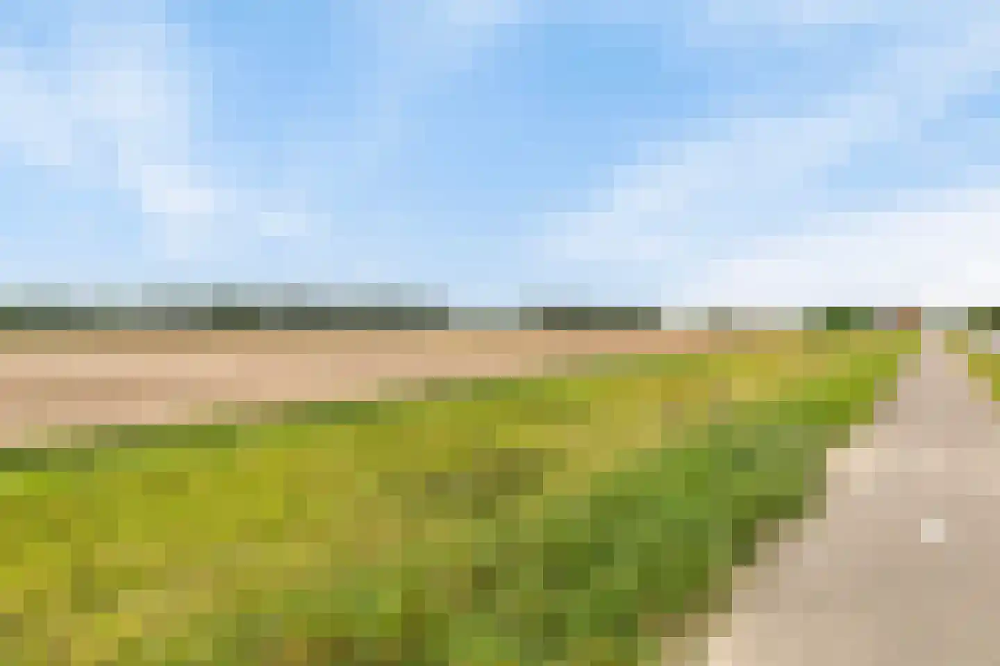 Provincialeweg 16 Vogelwaarde thumbnail 35